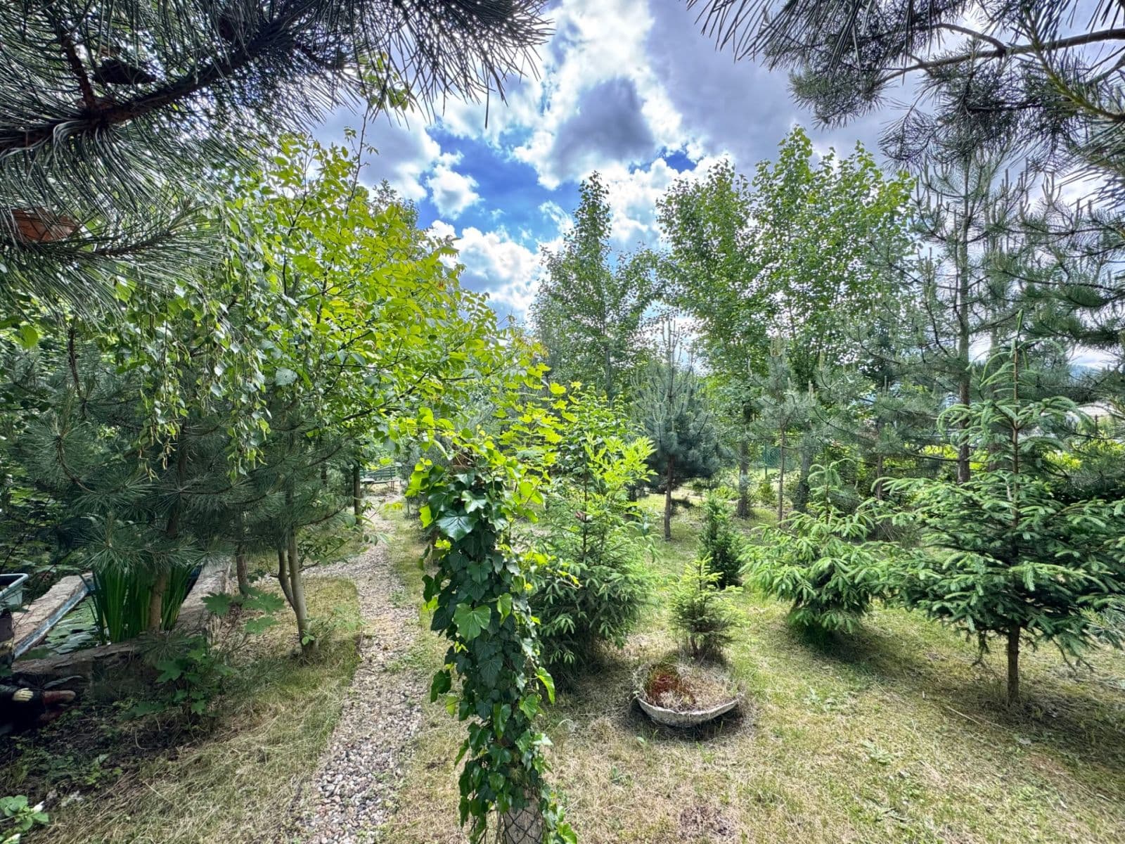 Prodej domu 110 m², pozemek 3.996 m², Karlovarská, Perštejn, Ústecký kraj Prodej domu 110 m², pozemek 3.996 m², Karlovarská, Perštejn, Ústecký kraj