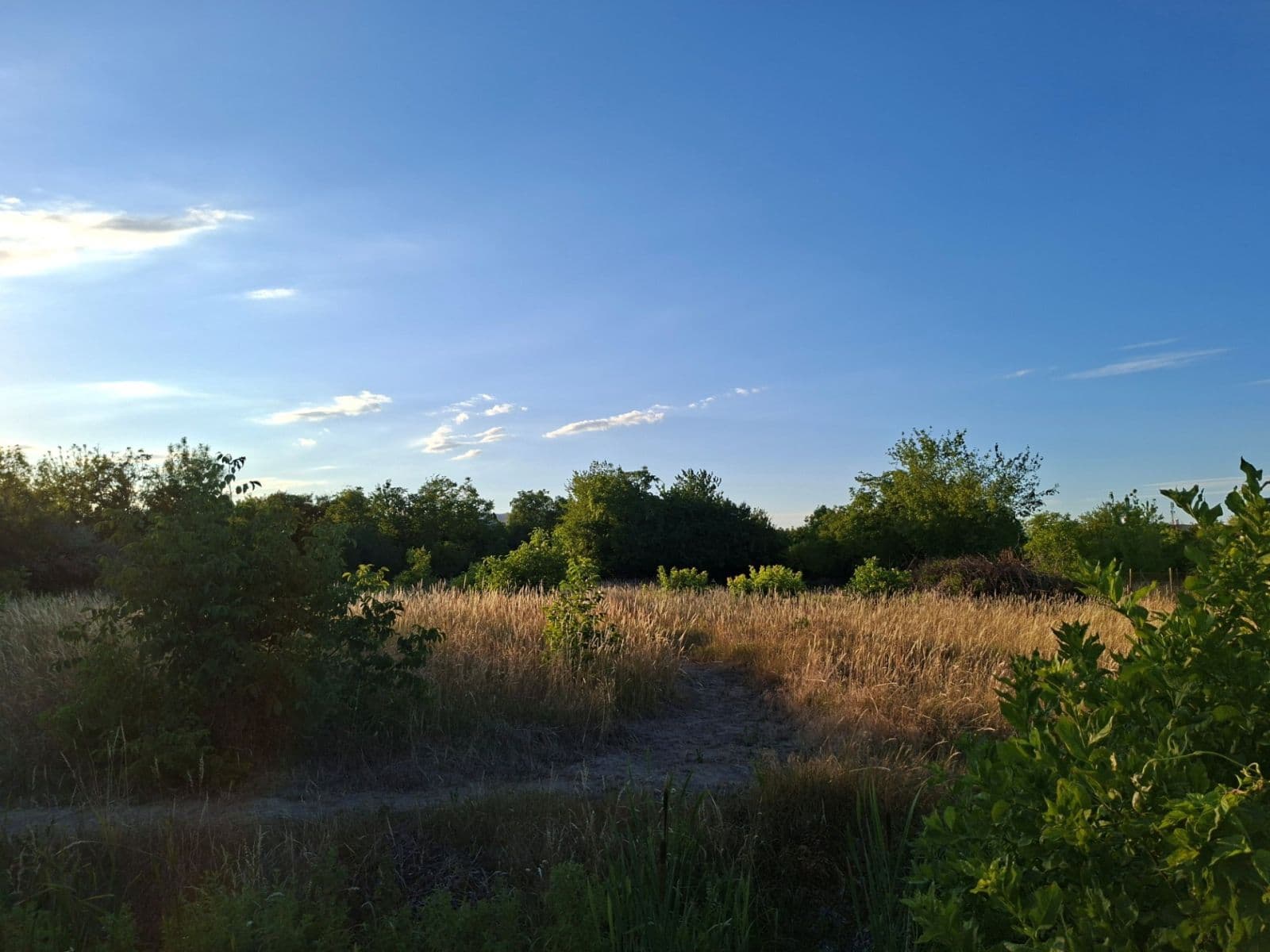 Prodej pozemku 963 m², Vajnory, Bratislavský kraj Prodej pozemku 963 m², Vajnory, Bratislavský kraj