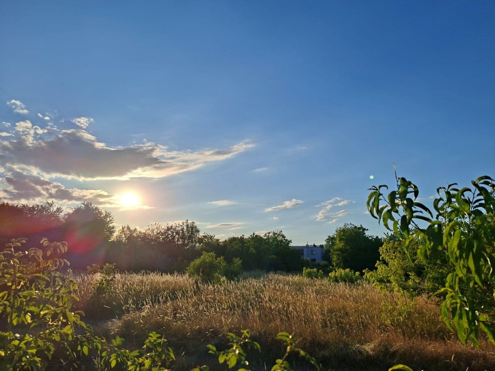 Prodej pozemku 963 m², Vajnory, Bratislavský kraj Prodej pozemku 963 m², Vajnory, Bratislavský kraj
