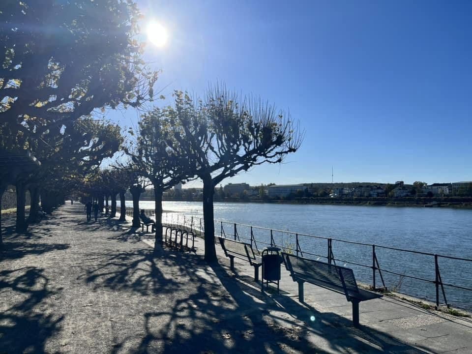 Pronájem bytu 1+1 57 m², Steinerstrasse 3, Bonn-Beuel, Severní Porýní-Vestfálsko Pronájem bytu 1+1 57 m², Steinerstrasse 3, Bonn-Beuel, Severní Porýní-Vestfálsko
