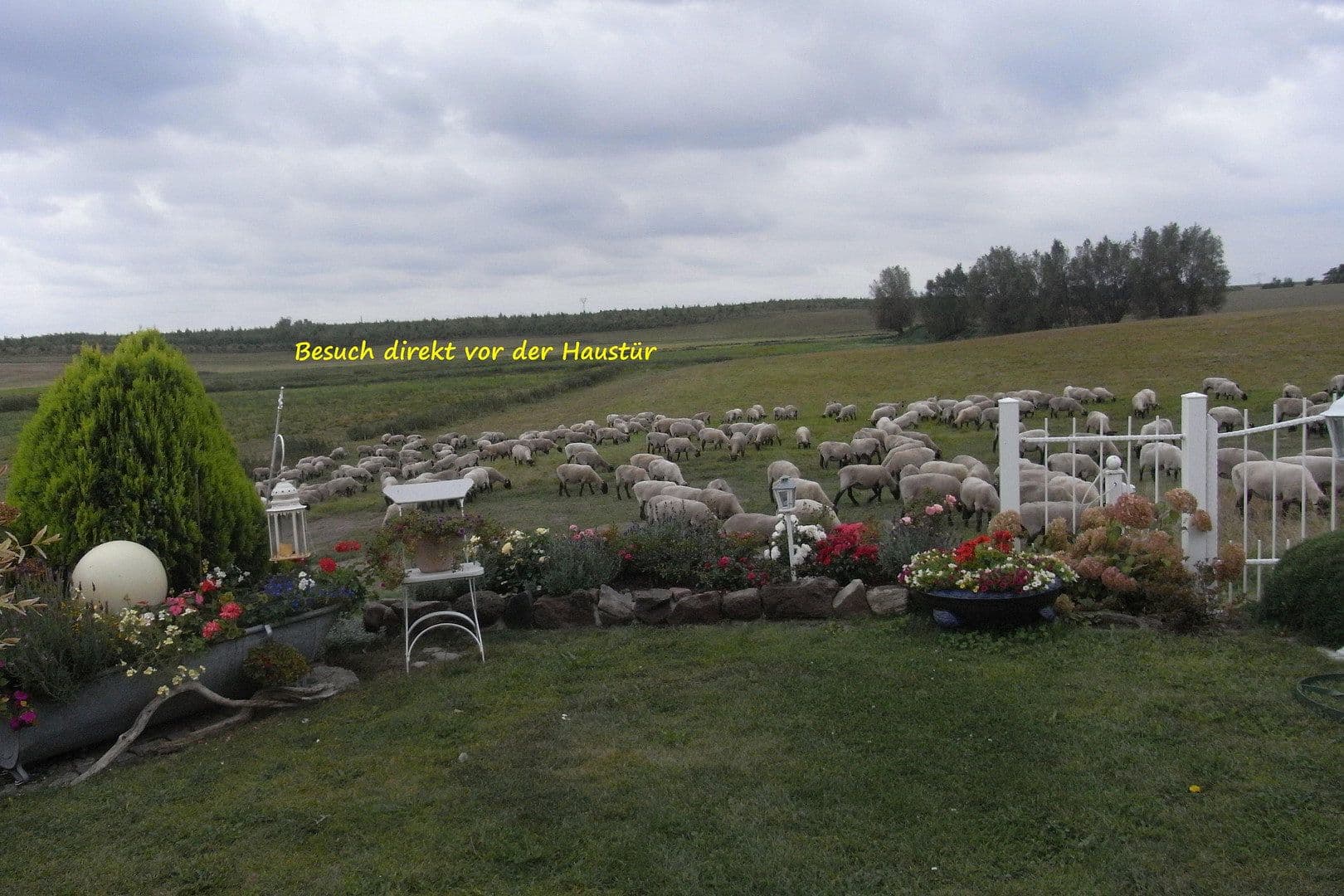 Prodej domu 51 m², pozemek 966 m², Klein Trebbow, Mecklenburg-Vorpommern Prodej domu 51 m², pozemek 966 m², Klein Trebbow, Mecklenburg-Vorpommern