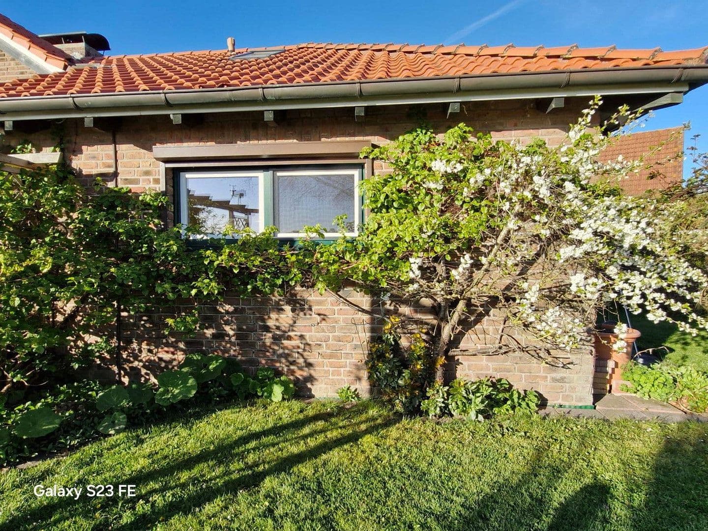 Prodej domu 190 m², pozemek 905 m², Weberkamp 6, Grube, Šlesvicko-Holštýnsko Prodej domu 190 m², pozemek 905 m², Weberkamp 6, Grube, Šlesvicko-Holštýnsko