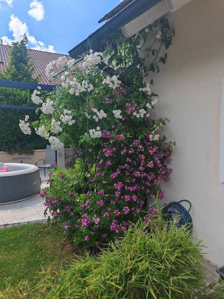 Prodej domu 276 m², pozemek 629 m², Am Weinberg 20, Niederviehbach, Bavorsko Prodej domu 276 m², pozemek 629 m², Am Weinberg 20, Niederviehbach, Bavorsko