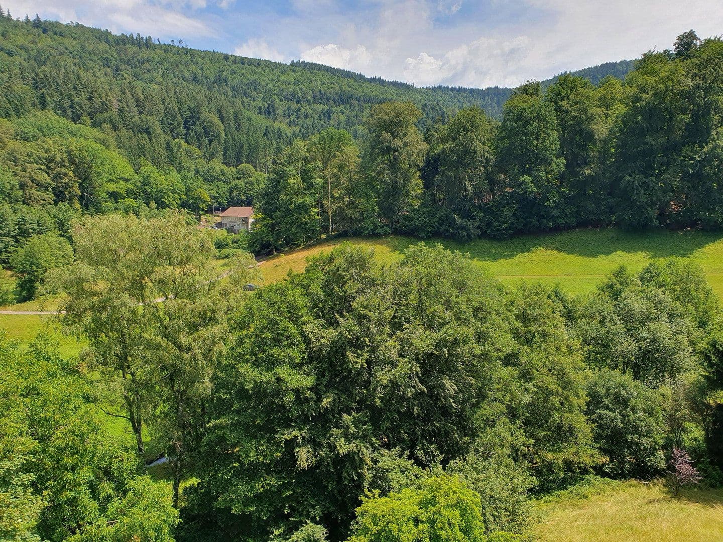 Prodej bytu 4+1 100 m², Bad Herrenalb, Bádensko-Württembersko Prodej bytu 4+1 100 m², Bad Herrenalb, Bádensko-Württembersko