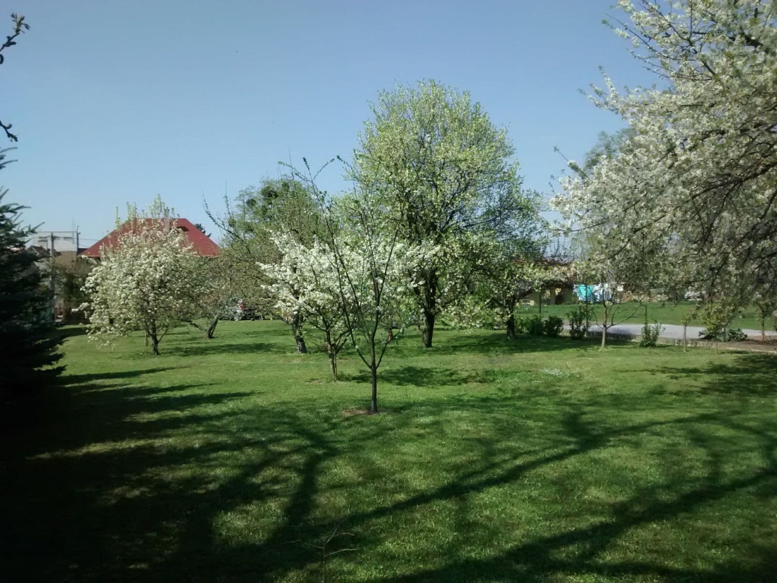 Prodej pozemku 1.233 m², Frenštát pod Radhoštěm, Moravskoslezský kraj Prodej pozemku 1.233 m², Frenštát pod Radhoštěm, Moravskoslezský kraj