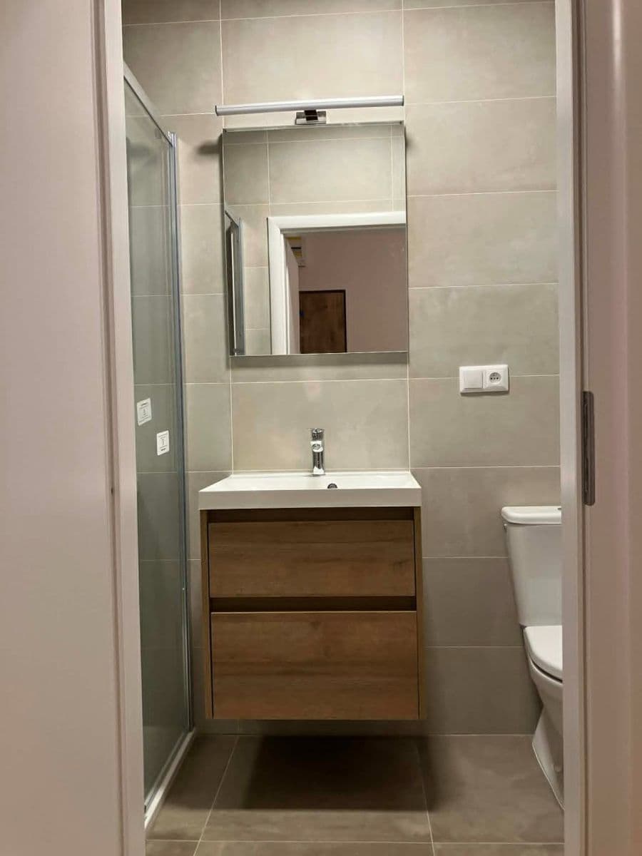 Pronájem bytu 1+1 50 m², Na Zlíchově, Praha, Praha Pronájem bytu 1+1 50 m², Na Zlíchově, Praha, Praha