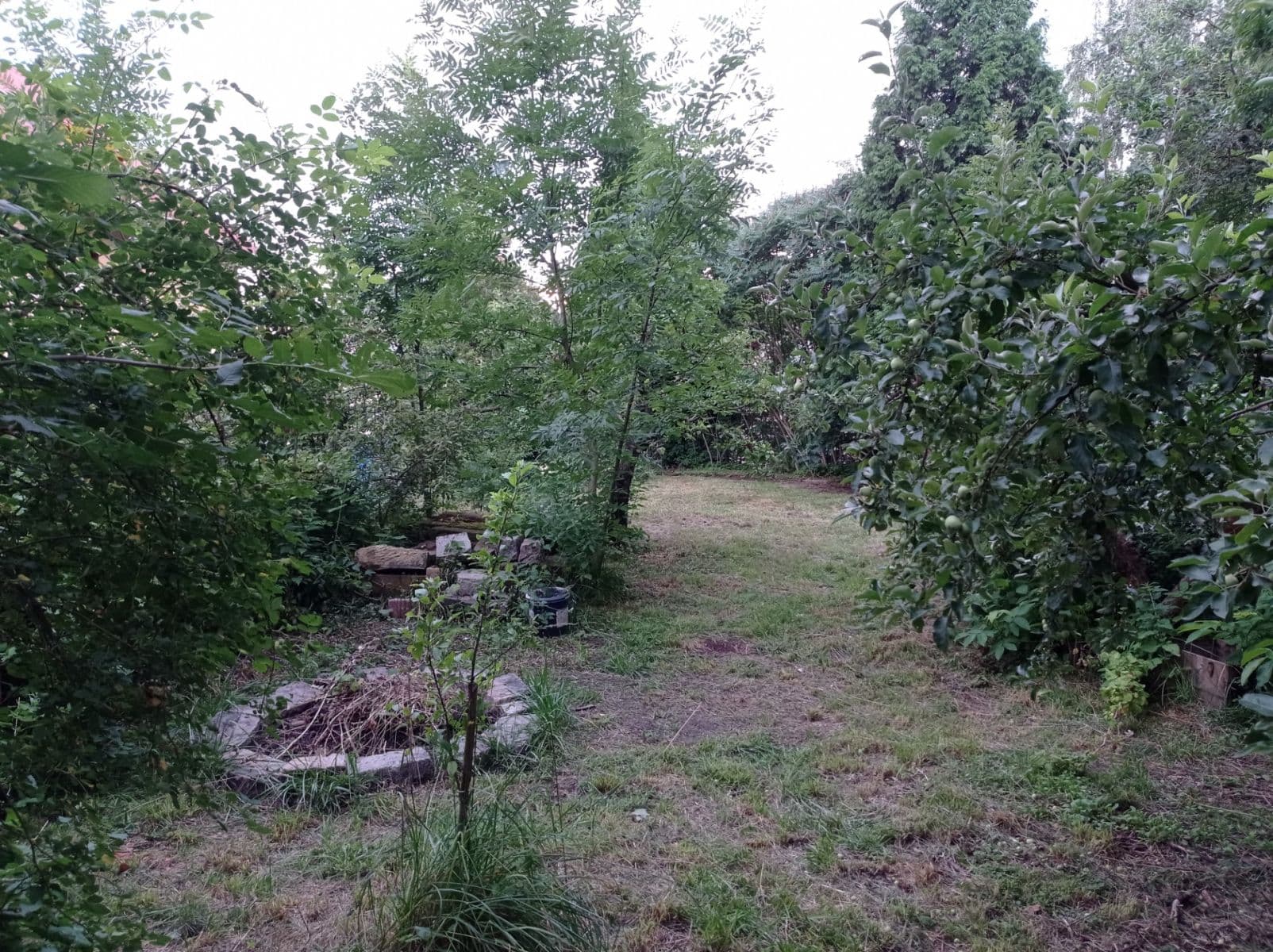 Prodej chaty, chalupy 44 m², pozemek 558 m², Kaněrova, Kostelec nad Orlicí, Královéhradecký kraj Prodej chaty, chalupy 44 m², pozemek 558 m², Kaněrova, Kostelec nad Orlicí, Královéhradecký kraj