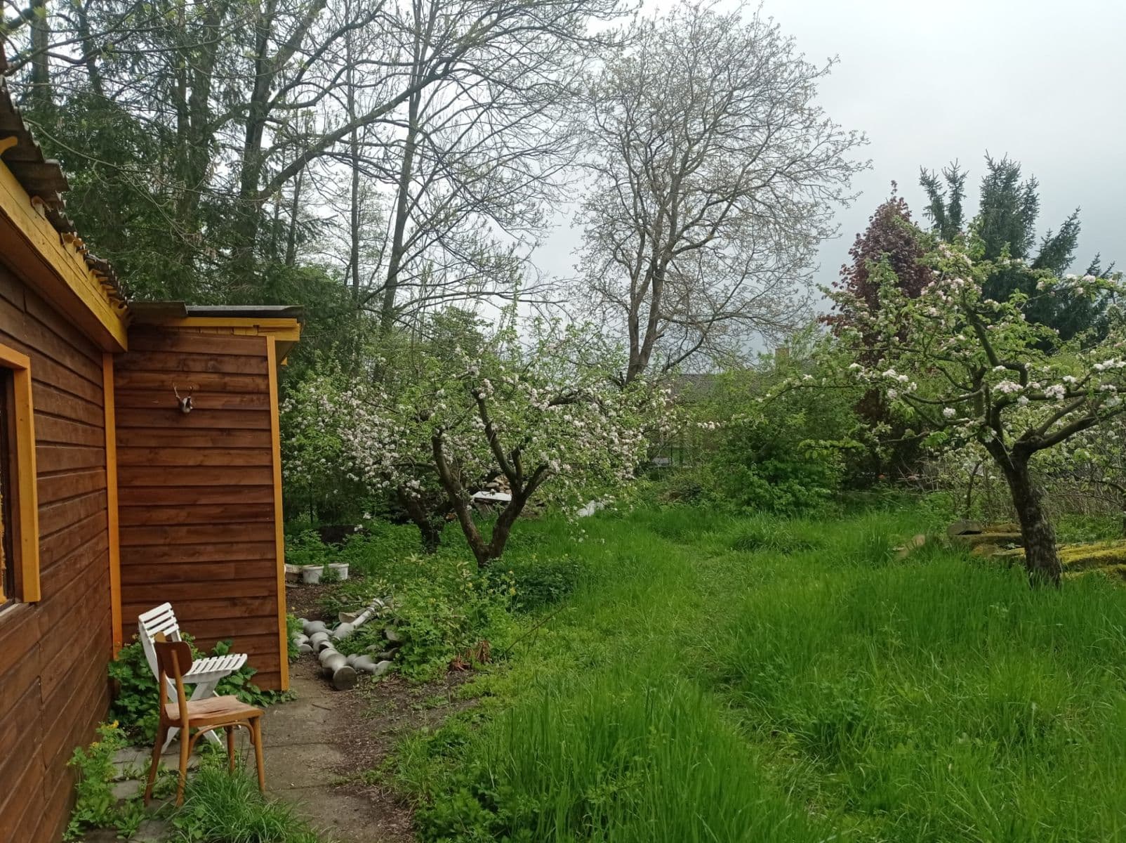 Prodej chaty, chalupy 44 m², pozemek 558 m², Kaněrova, Kostelec nad Orlicí, Královéhradecký kraj Prodej chaty, chalupy 44 m², pozemek 558 m², Kaněrova, Kostelec nad Orlicí, Královéhradecký kraj