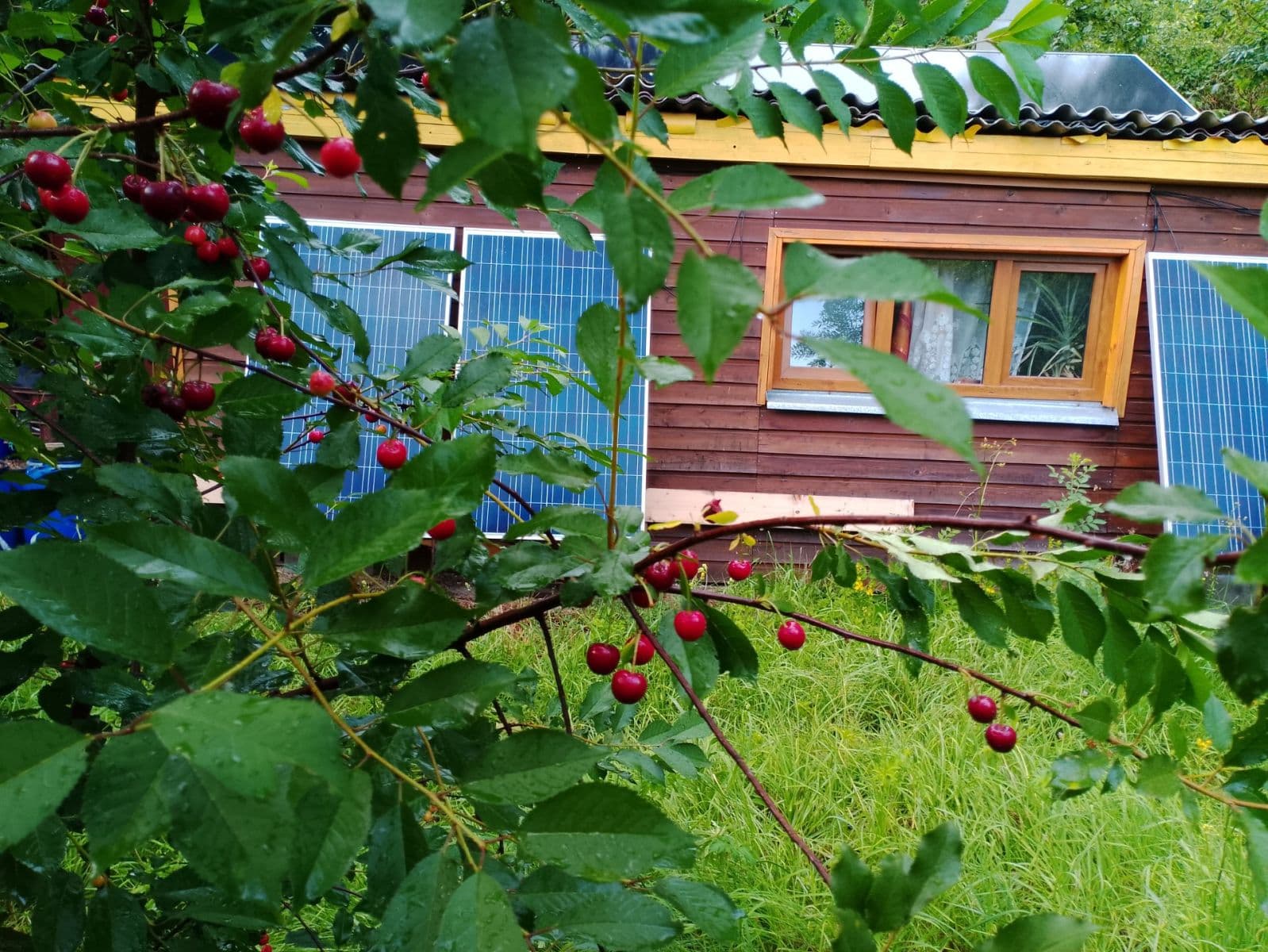 Prodej chaty, chalupy 44 m², pozemek 558 m², Kaněrova, Kostelec nad Orlicí, Královéhradecký kraj Prodej chaty, chalupy 44 m², pozemek 558 m², Kaněrova, Kostelec nad Orlicí, Královéhradecký kraj