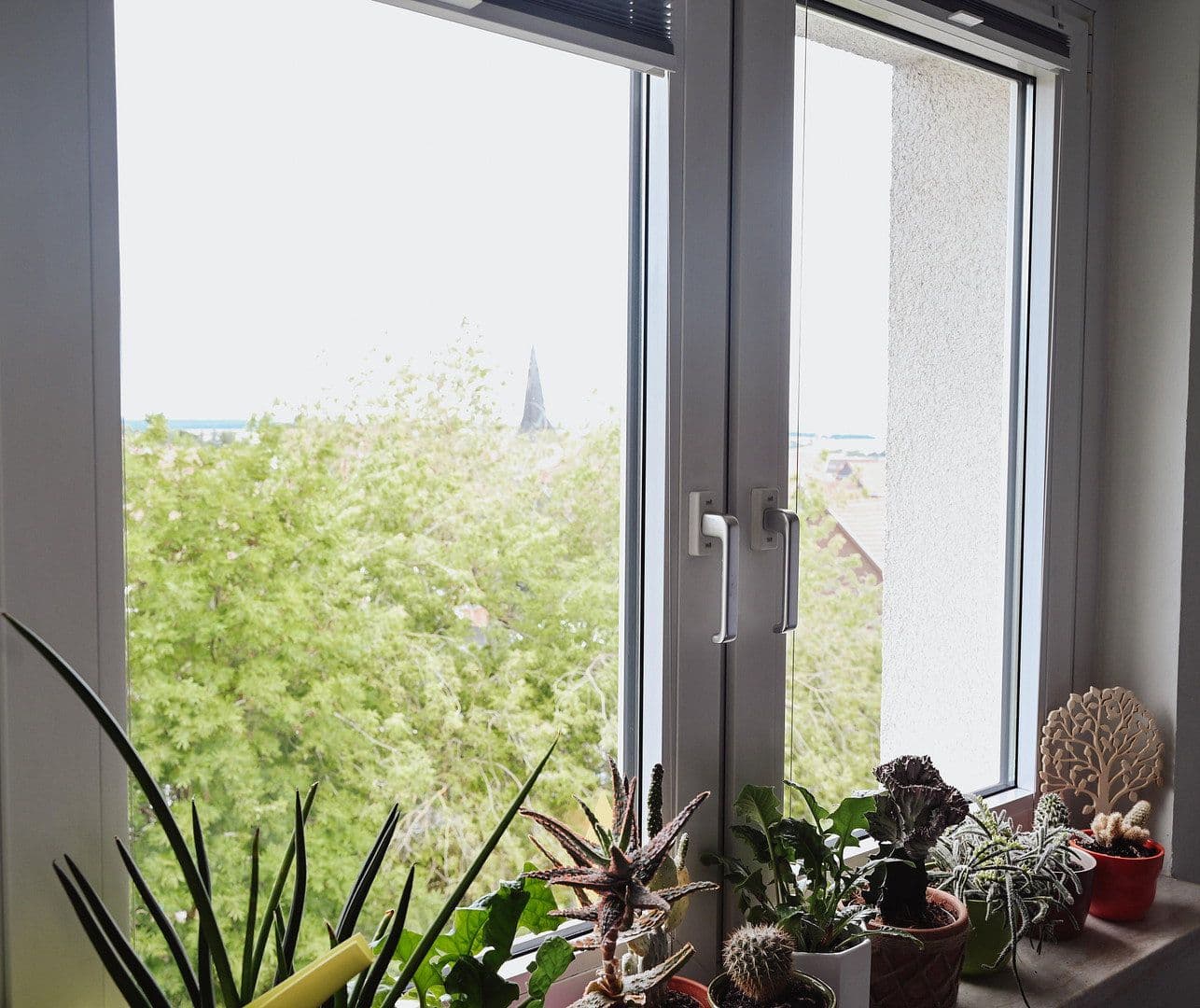 Prodej bytu 1+1 57 m², Bleicherode, Durynsko Prodej bytu 1+1 57 m², Bleicherode, Durynsko