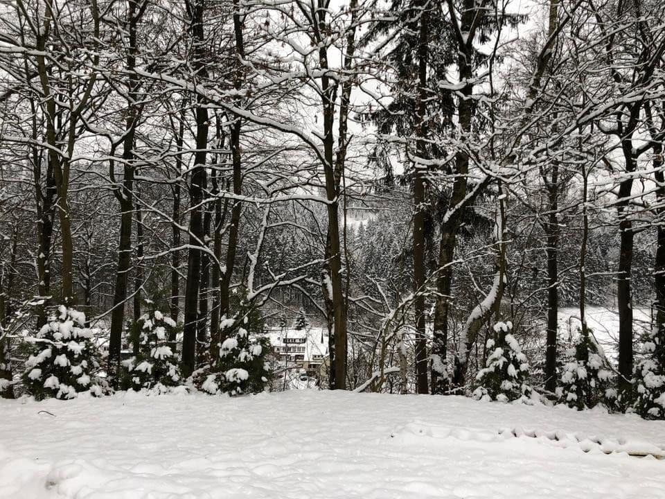 Prodej domu 200 m², pozemek 1.300 m², Bad Grund, Dolní Sasko Prodej domu 200 m², pozemek 1.300 m², Bad Grund, Dolní Sasko