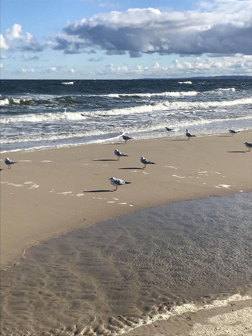 Prodej bytu 2+1 46 m², Stolpe auf Usedom, Mecklenburg-Vorpommern Prodej bytu 2+1 46 m², Stolpe auf Usedom, Mecklenburg-Vorpommern