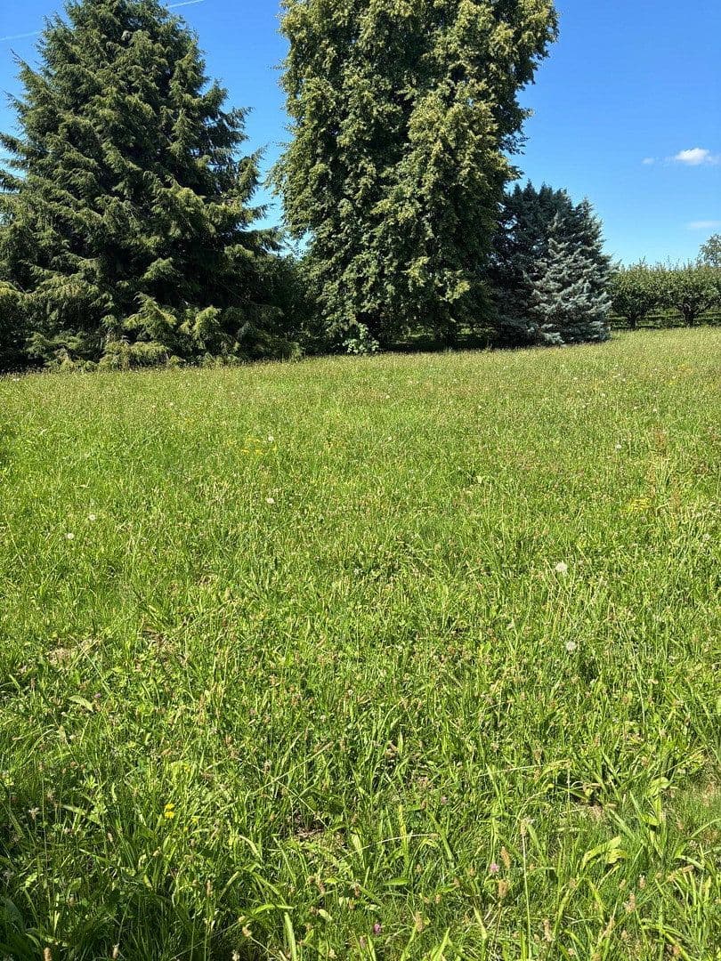 Prodej pozemku 1.276 m², Renchen, Bádensko-Württembersko Prodej pozemku 1.276 m², Renchen, Bádensko-Württembersko
