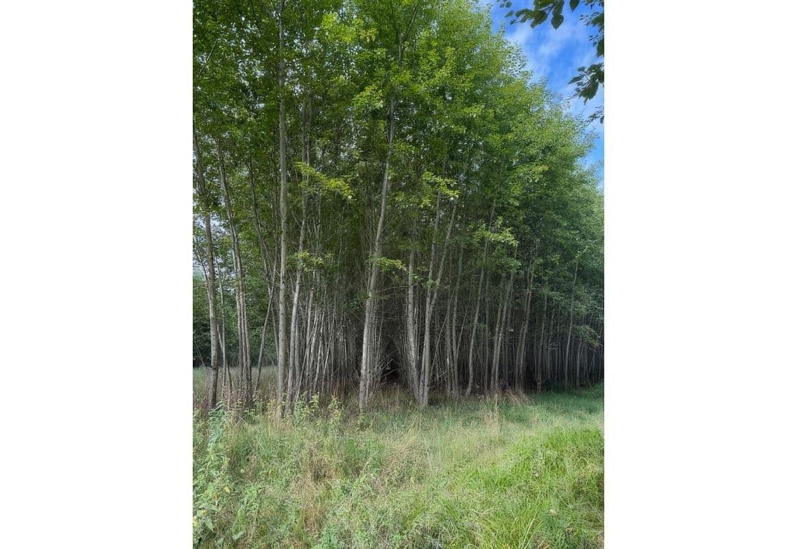 Prodej pozemku 108.179 m², Česká Kamenice, Ústecký kraj Prodej pozemku 108.179 m², Česká Kamenice, Ústecký kraj