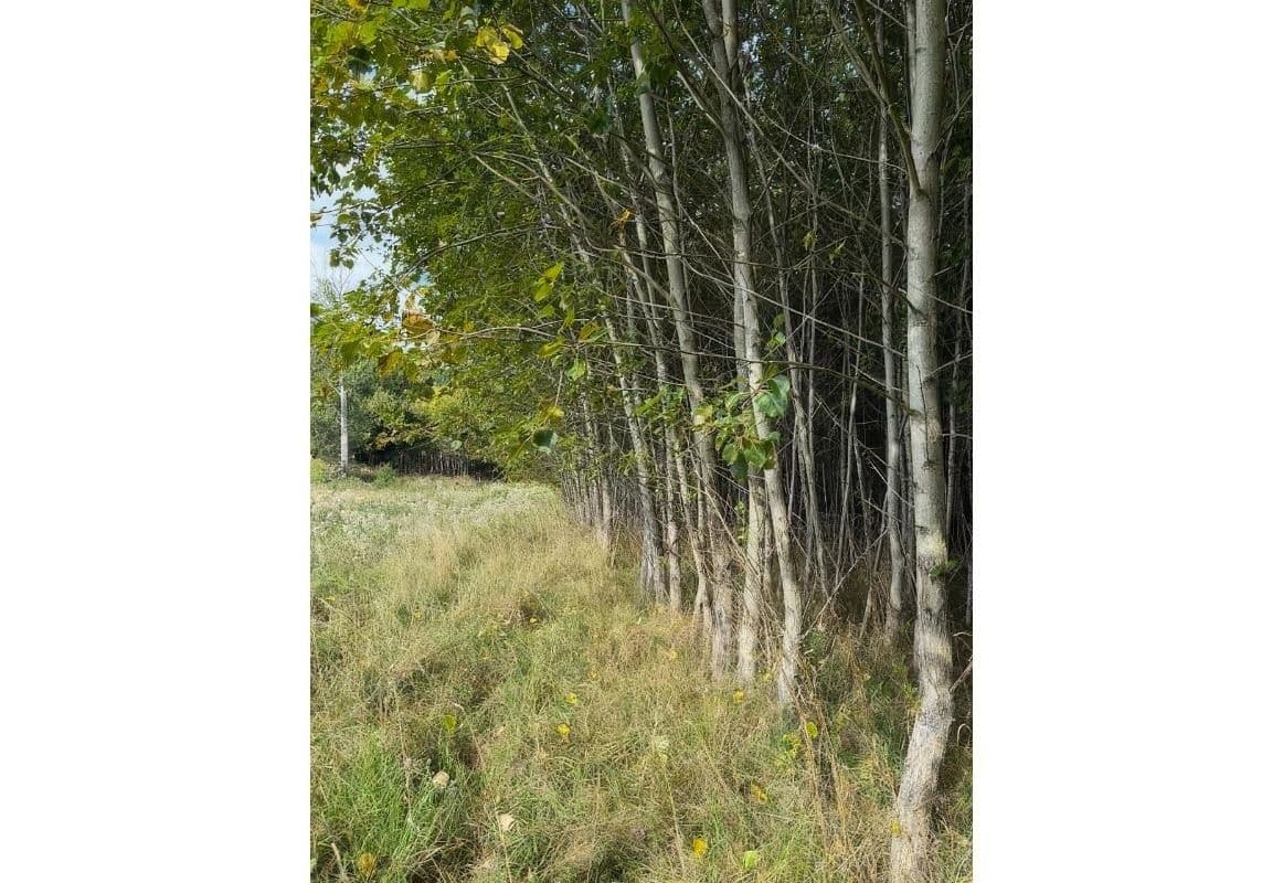 Prodej pozemku 108.179 m², Česká Kamenice, Ústecký kraj Prodej pozemku 108.179 m², Česká Kamenice, Ústecký kraj