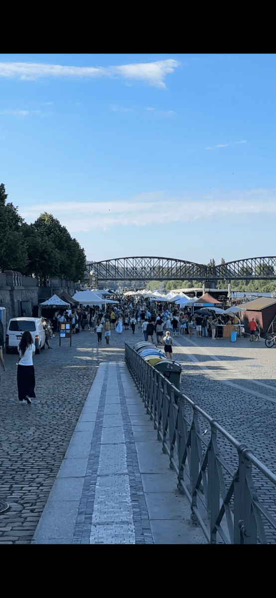 Pronájem bytu 1+kk 27 m², Podolská, Praha, Praha Pronájem bytu 1+kk 27 m², Podolská, Praha, Praha