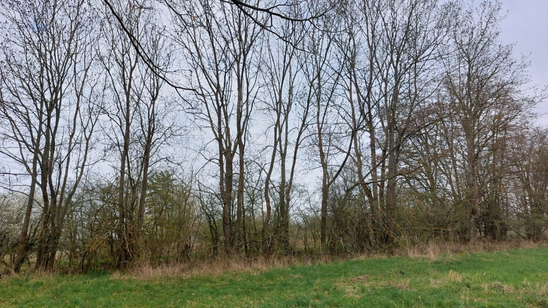 Prodej pozemku 2.040 m², Loket, Středočeský kraj Prodej pozemku 2.040 m², Loket, Středočeský kraj