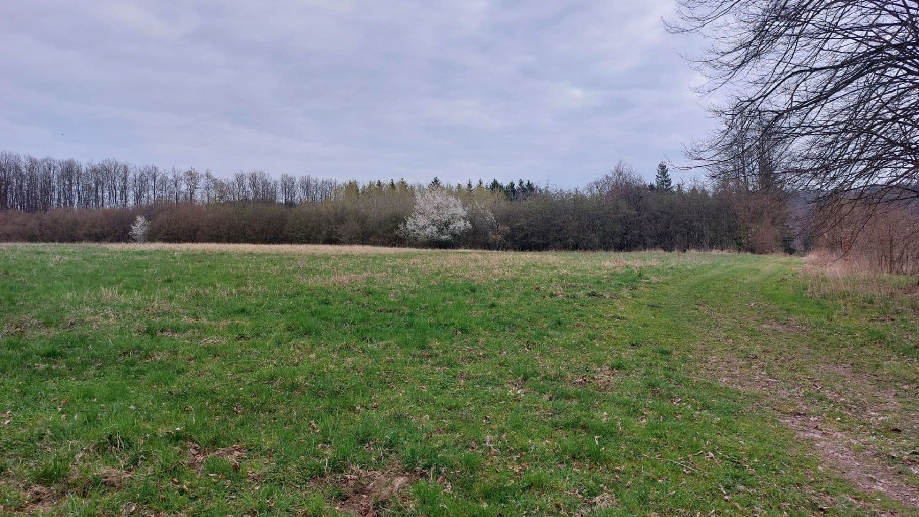 Prodej pozemku 2.040 m², Loket, Středočeský kraj Prodej pozemku 2.040 m², Loket, Středočeský kraj