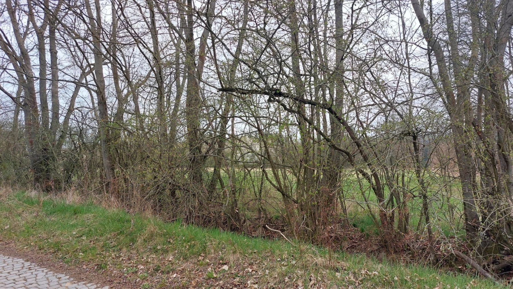 Prodej pozemku 2.040 m², Loket, Středočeský kraj Prodej pozemku 2.040 m², Loket, Středočeský kraj
