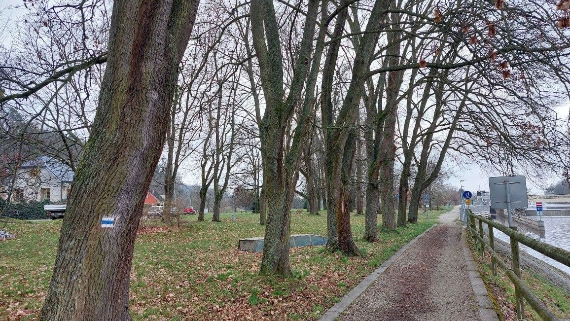 Prodej pozemku 7.743 m², Třeboňská, Hluboká nad Vltavou, Jihočeský kraj Prodej pozemku 7.743 m², Třeboňská, Hluboká nad Vltavou, Jihočeský kraj