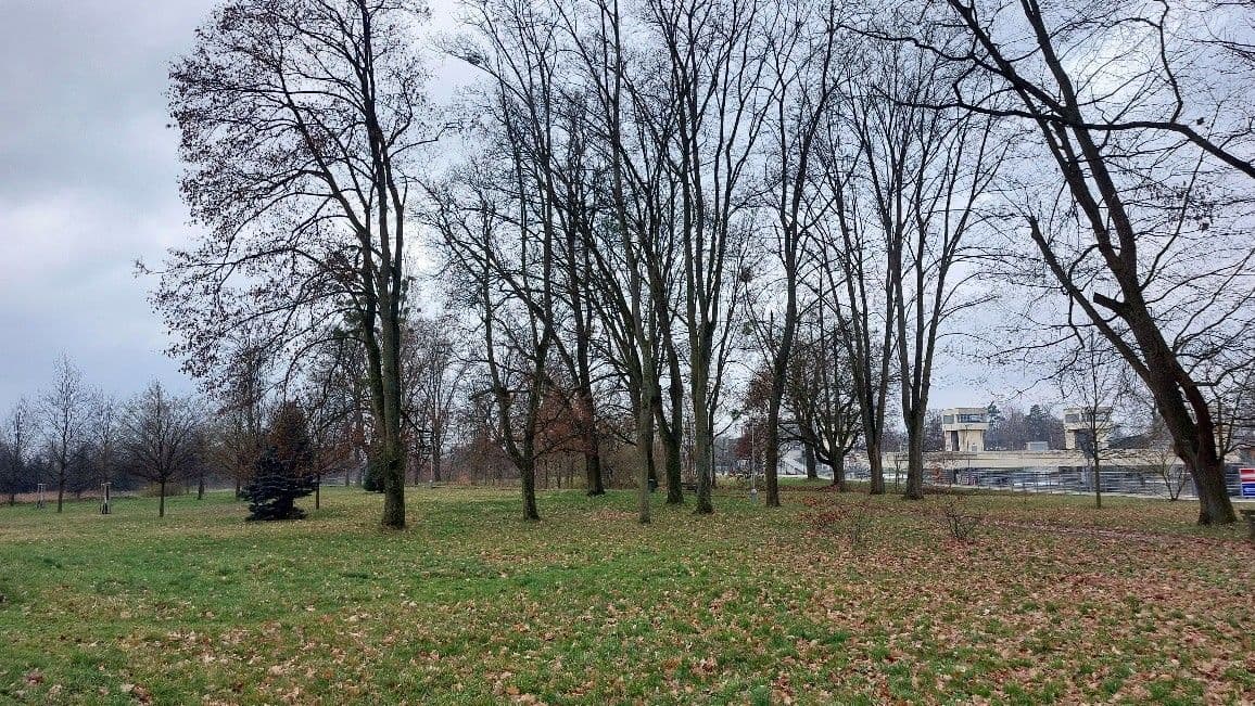 Prodej pozemku 7.743 m², Třeboňská, Hluboká nad Vltavou, Jihočeský kraj Prodej pozemku 7.743 m², Třeboňská, Hluboká nad Vltavou, Jihočeský kraj