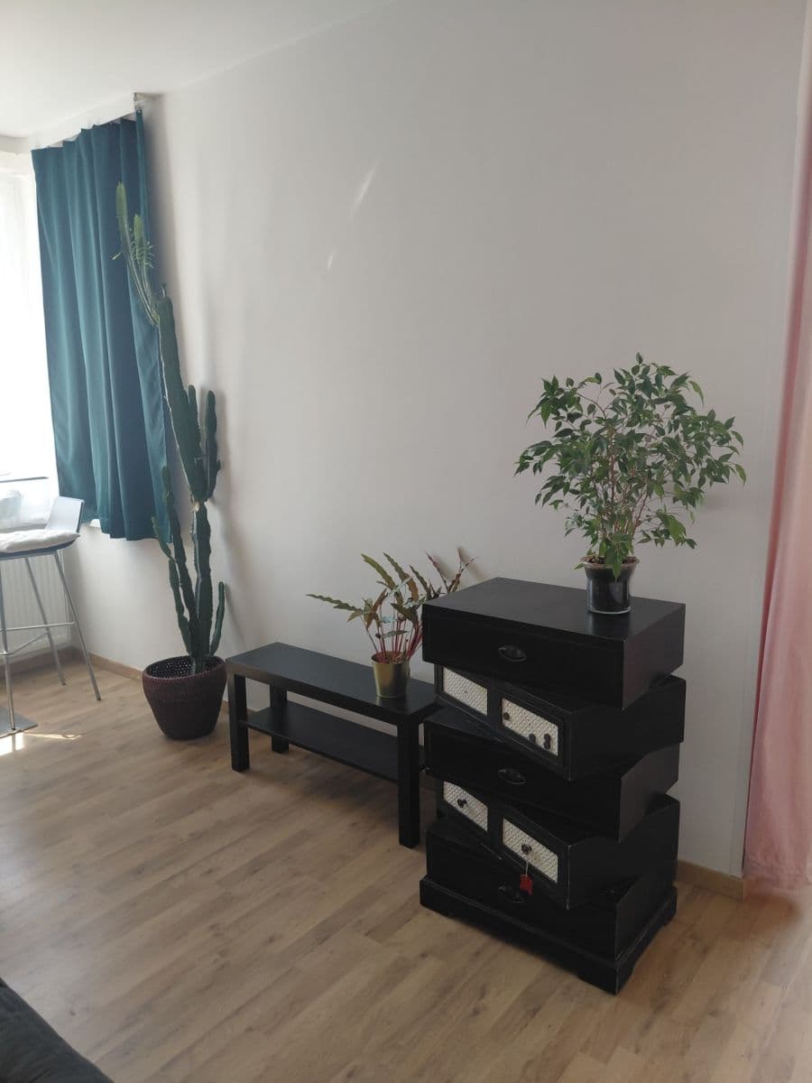 Pronájem bytu 1+kk 27 m², Hornoměcholupská, Praha, Praha Pronájem bytu 1+kk 27 m², Hornoměcholupská, Praha, Praha