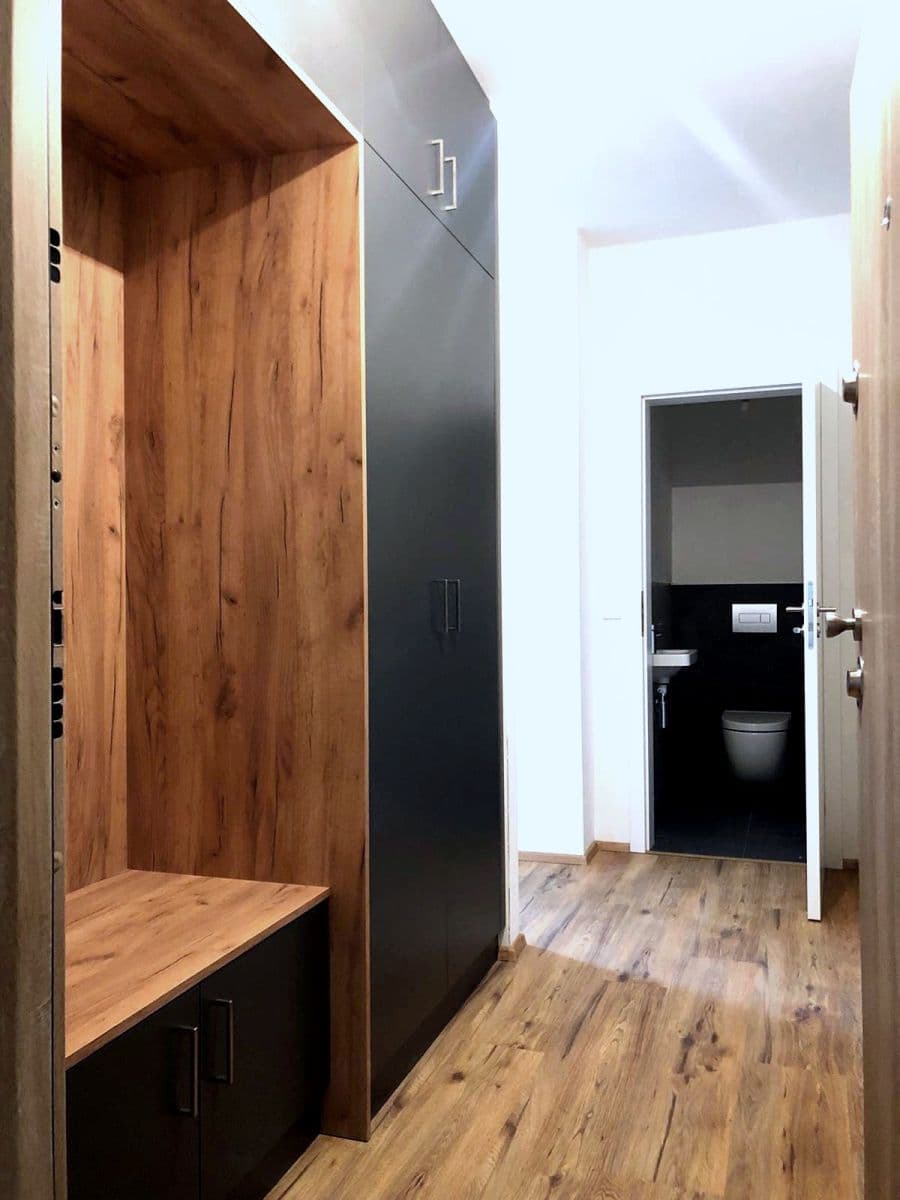 Pronájem bytu 1+kk 48 m², Košinova, Brno, Jihomoravský kraj Pronájem bytu 1+kk 48 m², Košinova, Brno, Jihomoravský kraj