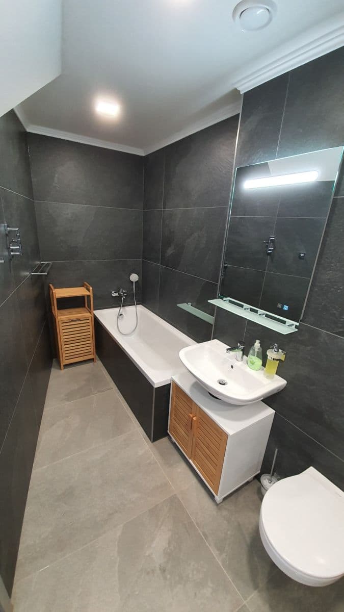 Pronájem bytu 4+1 370 m², Otýlie Beníškové, Plzeň, Plzeňský kraj Pronájem bytu 4+1 370 m², Otýlie Beníškové, Plzeň, Plzeňský kraj