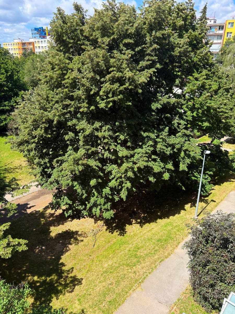 Prodej bytu 3+1 72 m², Vysočanská, Praha, Praha Prodej bytu 3+1 72 m², Vysočanská, Praha, Praha