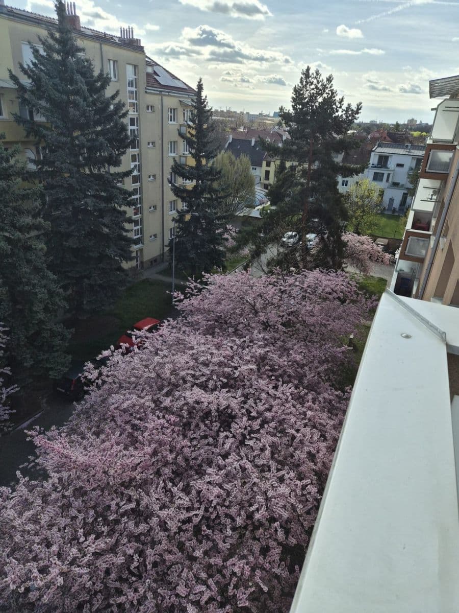 Pronájem bytu 2+kk 50 m², Skácelova, Brno, Jihomoravský kraj Pronájem bytu 2+kk 50 m², Skácelova, Brno, Jihomoravský kraj