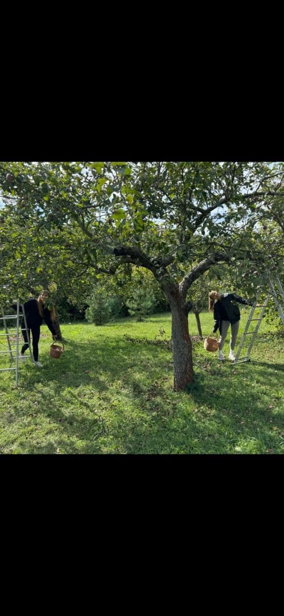 Prodej pozemku 2.409 m², Ostopovice, Jihomoravský kraj Prodej pozemku 2.409 m², Ostopovice, Jihomoravský kraj