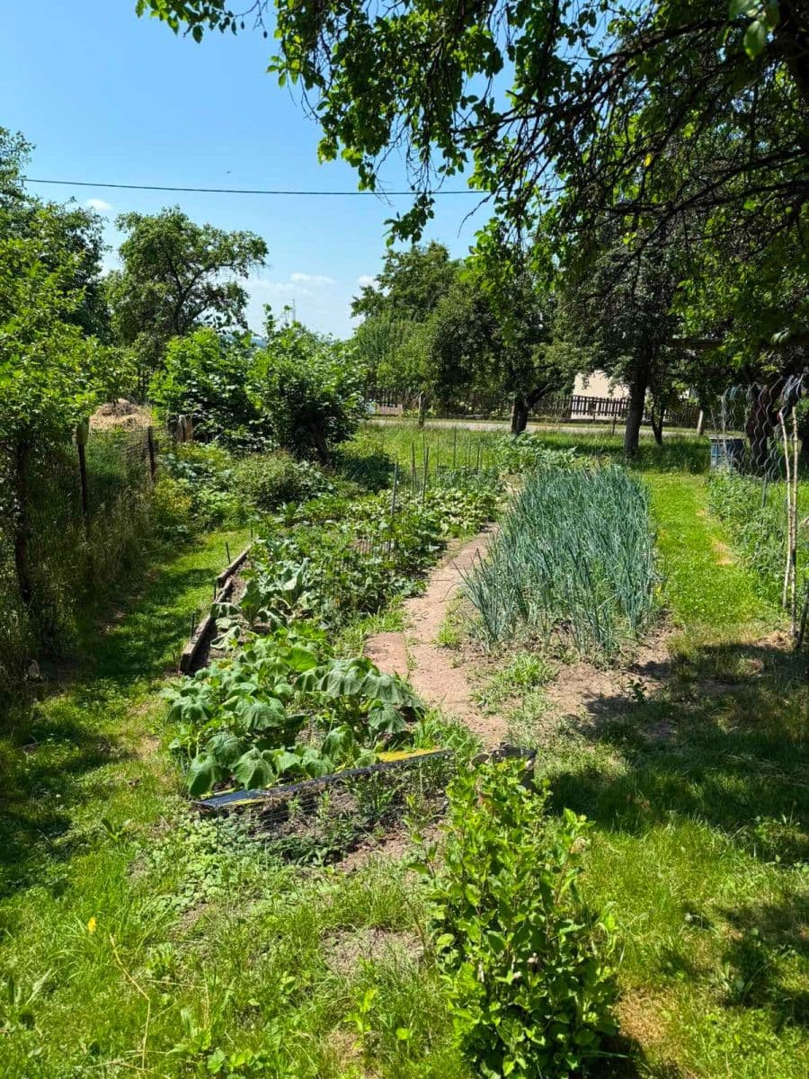 Prodej chaty, chalupy 145 m², pozemek 1.306 m², Proseč pod Ještědem, Liberecký kraj Prodej chaty, chalupy 145 m², pozemek 1.306 m², Proseč pod Ještědem, Liberecký kraj