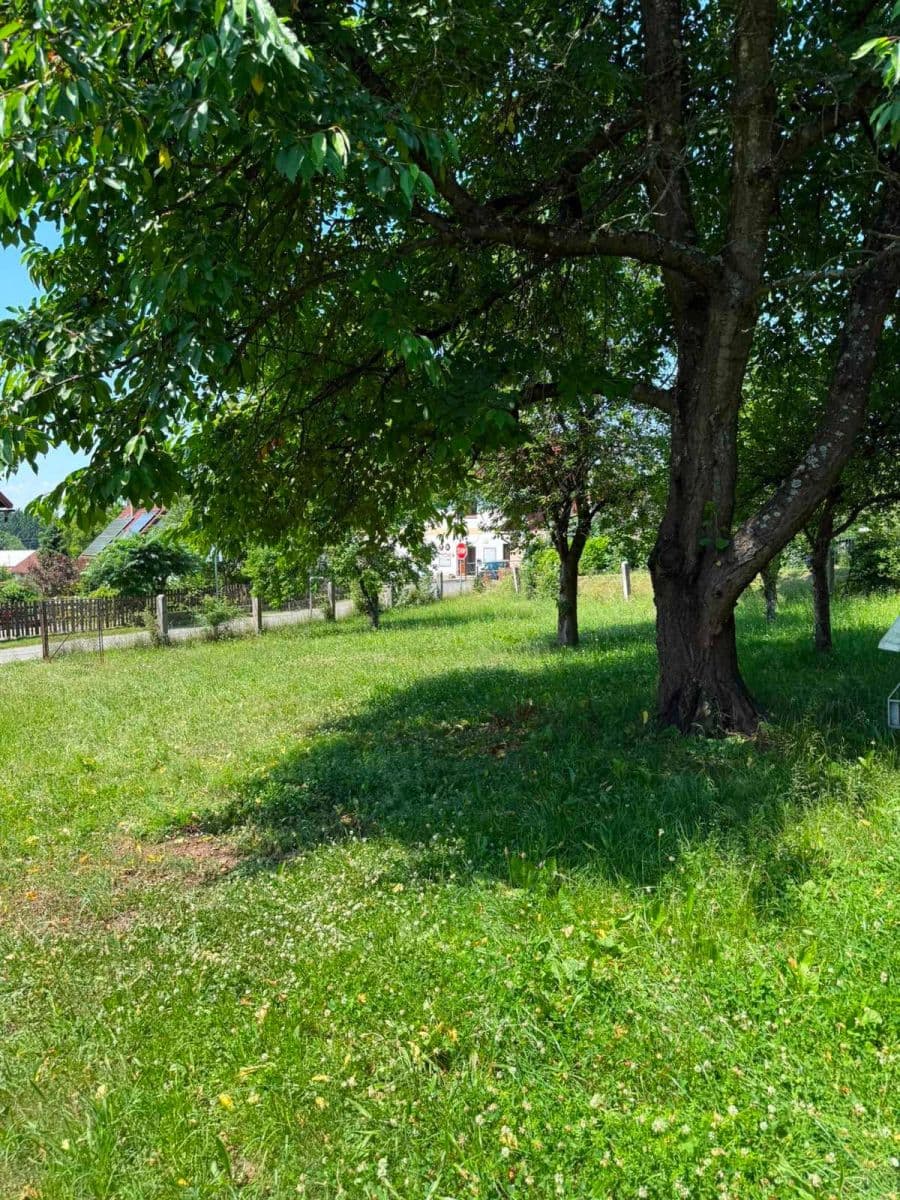 Prodej chaty, chalupy 145 m², pozemek 1.306 m², Proseč pod Ještědem, Liberecký kraj Prodej chaty, chalupy 145 m², pozemek 1.306 m², Proseč pod Ještědem, Liberecký kraj