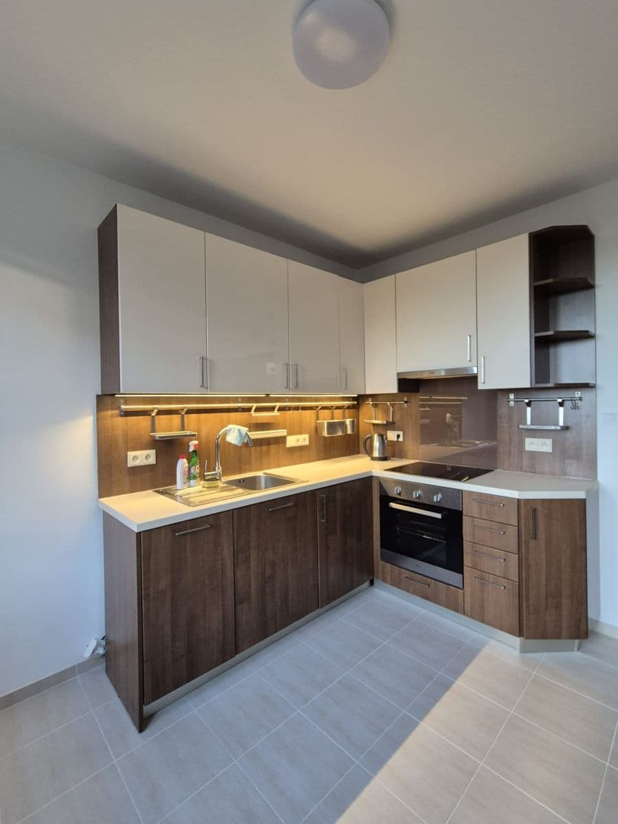 Pronájem bytu 3+1 68 m², Dreyerova, Praha, Praha Pronájem bytu 3+1 68 m², Dreyerova, Praha, Praha