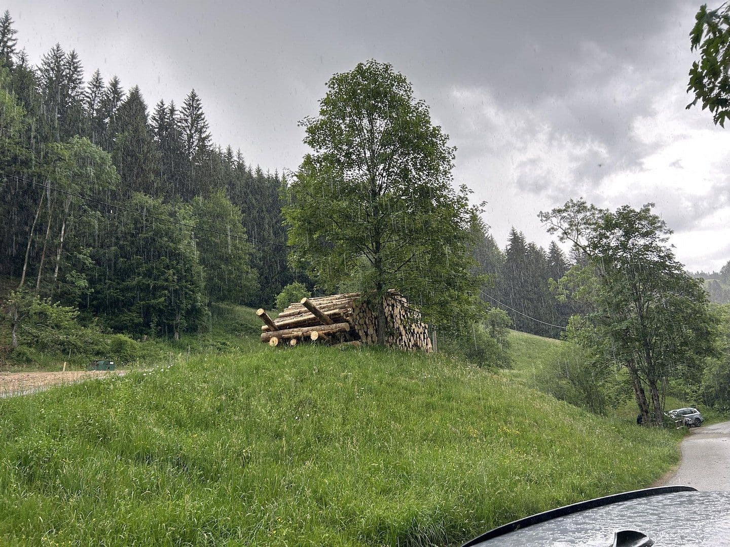Prodej pozemku 50.000 m², Kreuzbachthal, Buchenberg, Bavorsko Prodej pozemku 50.000 m², Kreuzbachthal, Buchenberg, Bavorsko