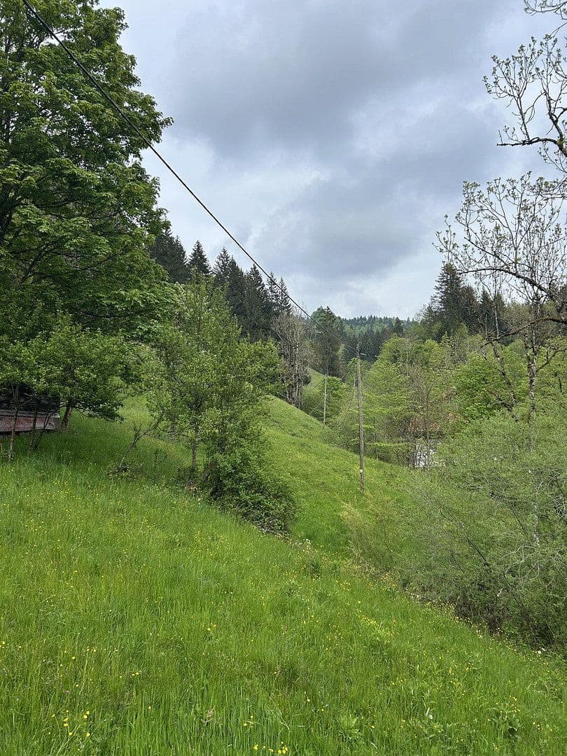 Prodej pozemku 50.000 m², Kreuzbachthal, Buchenberg, Bavorsko Prodej pozemku 50.000 m², Kreuzbachthal, Buchenberg, Bavorsko