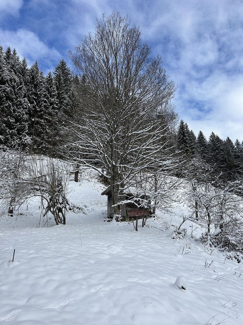 Prodej pozemku 50.000 m², Kreuzbachthal, Buchenberg, Bavorsko Prodej pozemku 50.000 m², Kreuzbachthal, Buchenberg, Bavorsko