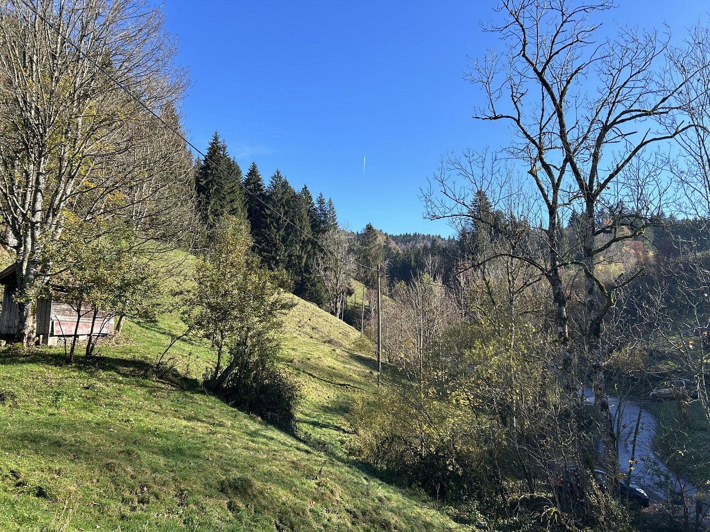 Prodej pozemku 50.000 m², Kreuzbachthal, Buchenberg, Bavorsko Prodej pozemku 50.000 m², Kreuzbachthal, Buchenberg, Bavorsko