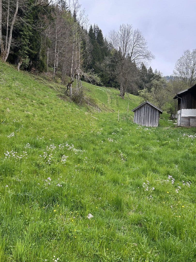 Prodej pozemku 50.000 m², Kreuzbachthal, Buchenberg, Bavorsko Prodej pozemku 50.000 m², Kreuzbachthal, Buchenberg, Bavorsko