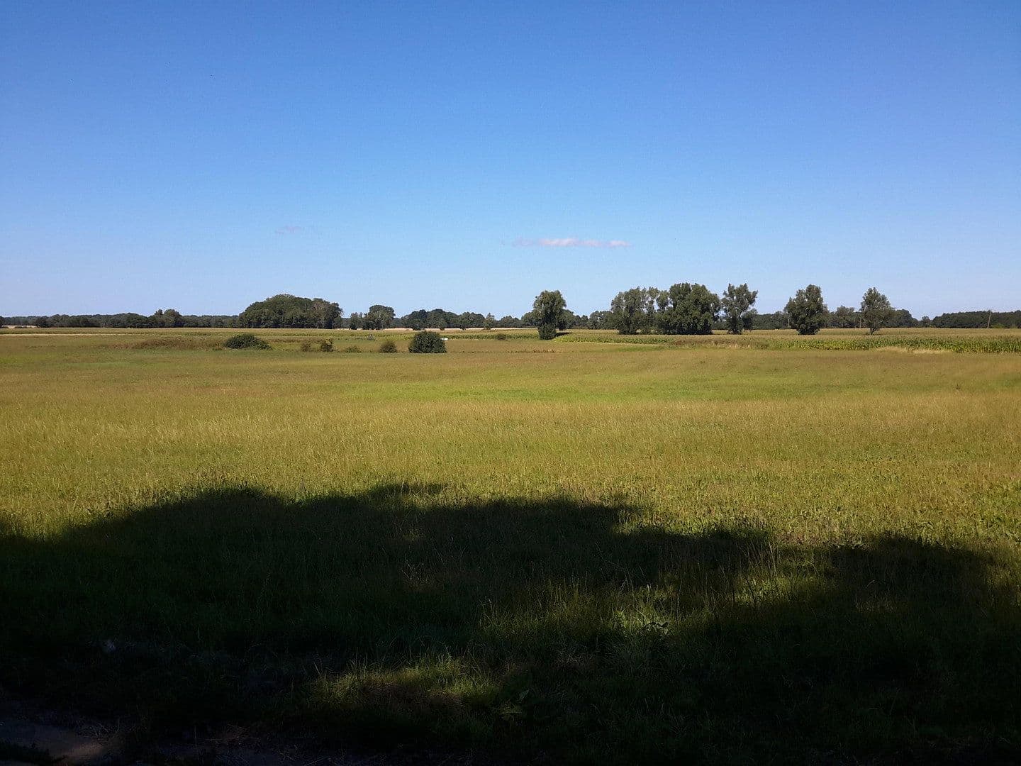 Prodej pozemku 2.893 m², Schweikvitz 10 b, Kluis, Mecklenburg-Vorpommern Prodej pozemku 2.893 m², Schweikvitz 10 b, Kluis, Mecklenburg-Vorpommern