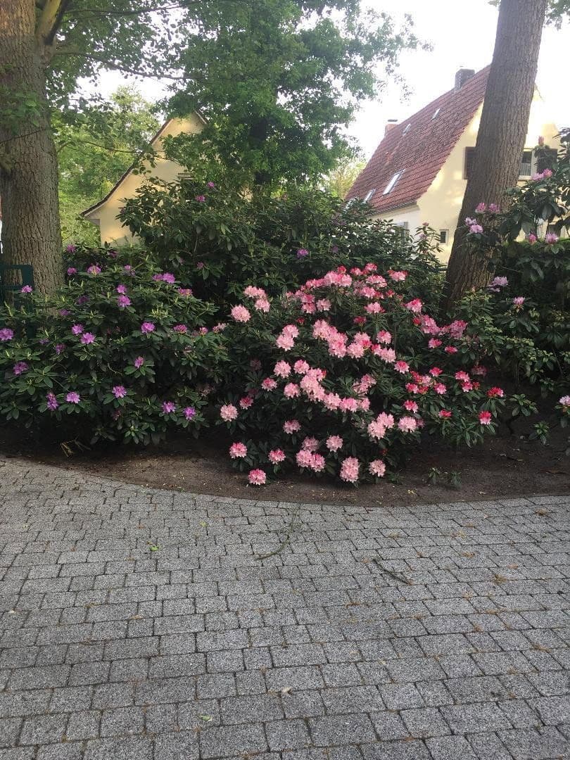 Prodej domu 300 m², pozemek 1.700 m², Im Holze 53, Bremen, Bremen Prodej domu 300 m², pozemek 1.700 m², Im Holze 53, Bremen, Bremen