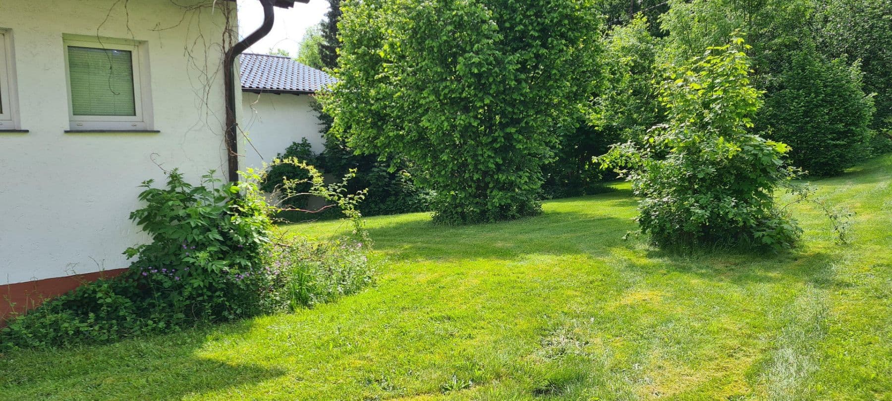 Prodej domu 450 m², pozemek 5.100 m², Weitefeld, Porýní-Falc Prodej domu 450 m², pozemek 5.100 m², Weitefeld, Porýní-Falc