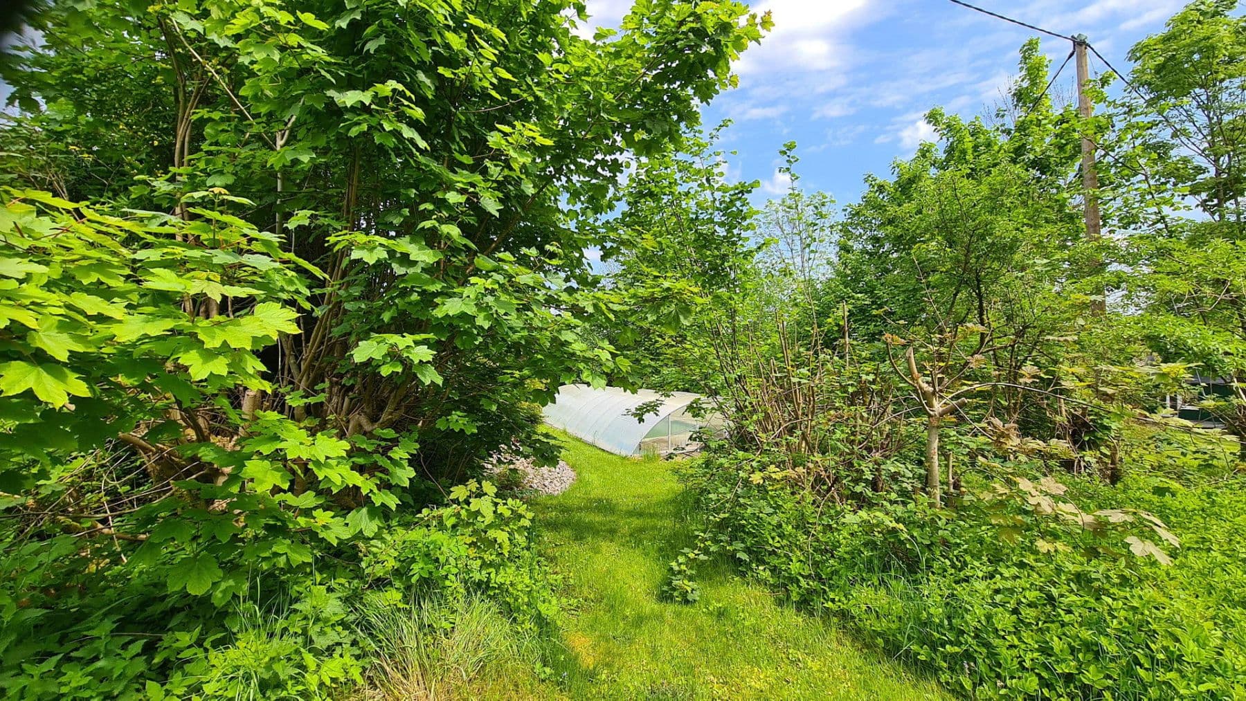 Prodej domu 450 m², pozemek 5.100 m², Weitefeld, Porýní-Falc Prodej domu 450 m², pozemek 5.100 m², Weitefeld, Porýní-Falc