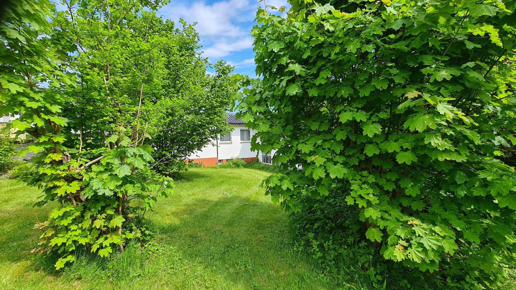 Prodej domu 450 m², pozemek 5.100 m², Weitefeld, Porýní-Falc Prodej domu 450 m², pozemek 5.100 m², Weitefeld, Porýní-Falc