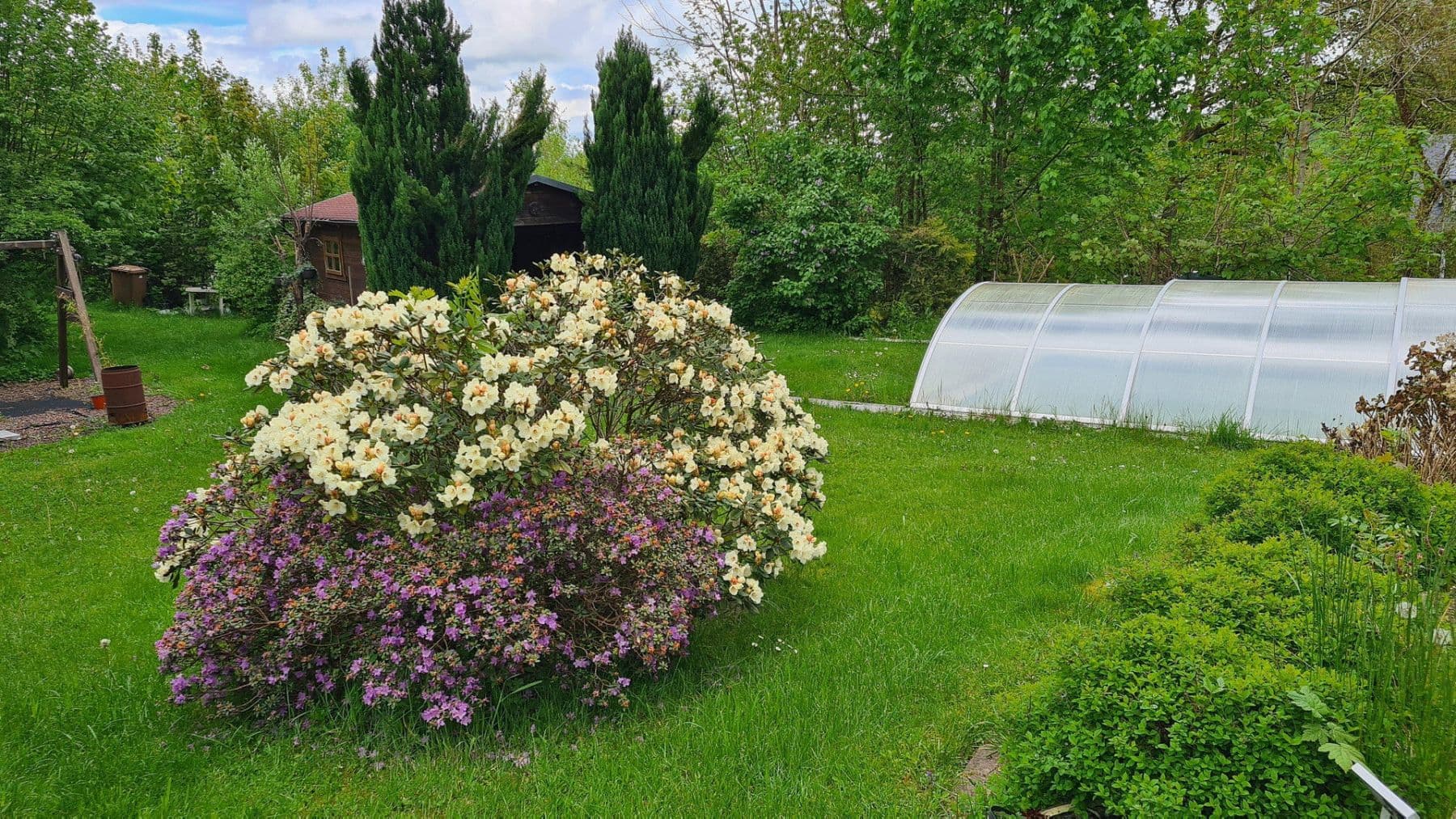Prodej domu 450 m², pozemek 5.100 m², Weitefeld, Porýní-Falc Prodej domu 450 m², pozemek 5.100 m², Weitefeld, Porýní-Falc