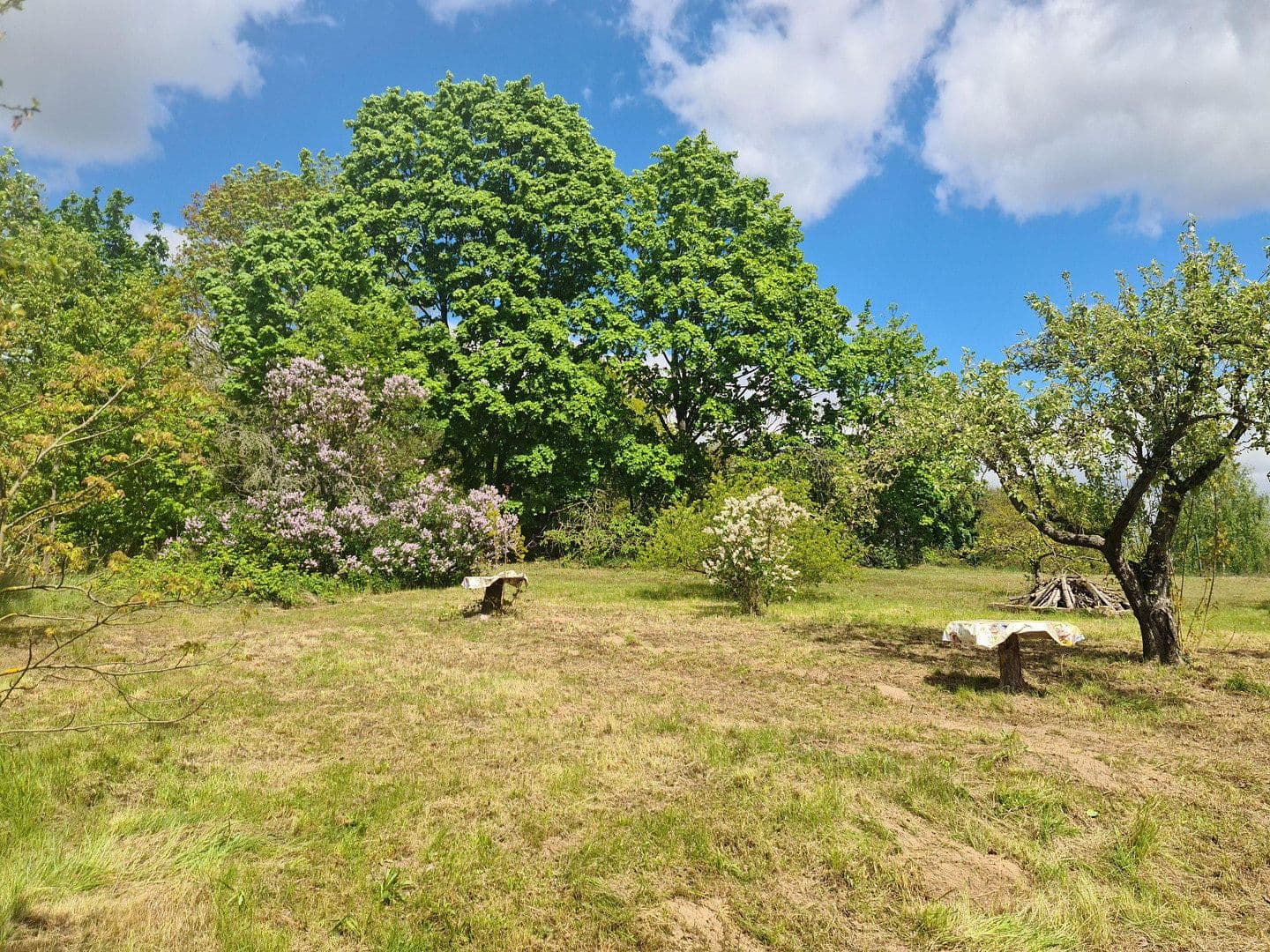 Prodej pozemku 2.679 m², Werder (Havel), Braniborsko Prodej pozemku 2.679 m², Werder (Havel), Braniborsko
