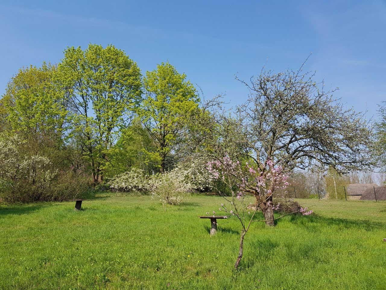 Prodej pozemku 2.679 m², Werder (Havel), Braniborsko Prodej pozemku 2.679 m², Werder (Havel), Braniborsko
