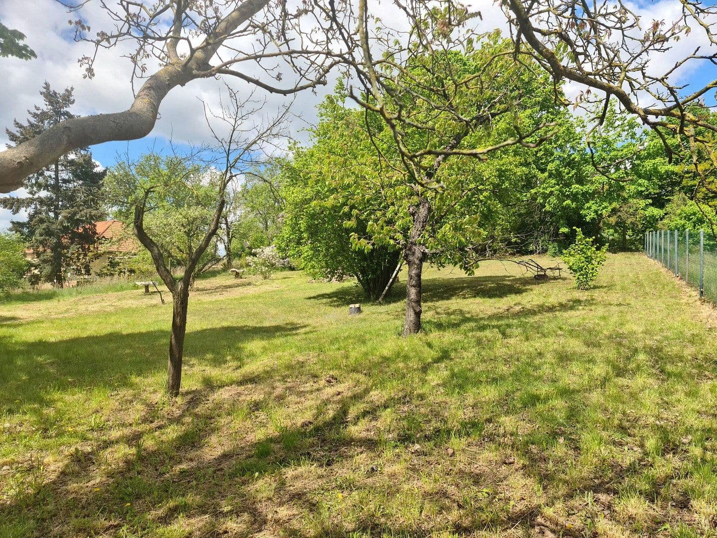 Prodej pozemku 2.679 m², Werder (Havel), Braniborsko Prodej pozemku 2.679 m², Werder (Havel), Braniborsko