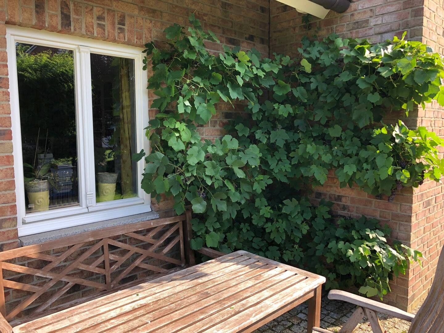 Prodej domu 160 m², pozemek 1.400 m², Leck, Šlesvicko-Holštýnsko Prodej domu 160 m², pozemek 1.400 m², Leck, Šlesvicko-Holštýnsko