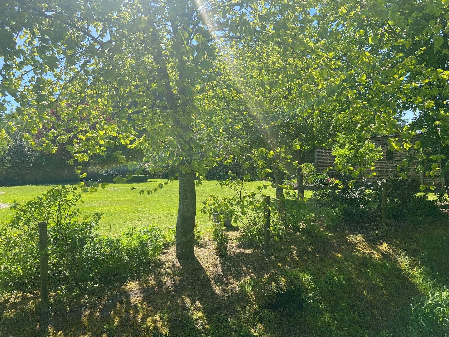Prodej domu 160 m², pozemek 1.400 m², Leck, Šlesvicko-Holštýnsko Prodej domu 160 m², pozemek 1.400 m², Leck, Šlesvicko-Holštýnsko